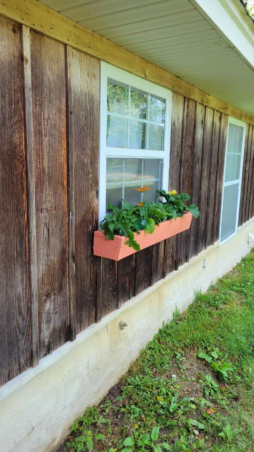 The Little House At Evoo Villa Cookeville Luaran gambar